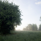 Sev-bois-baudry-5.jpg